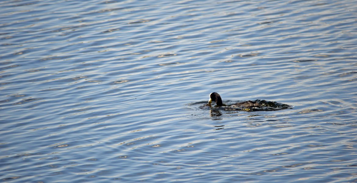 Image courtesy of St G